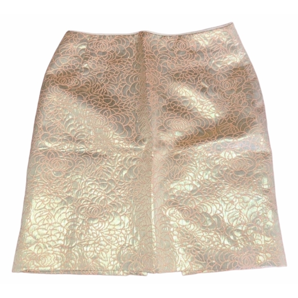 Rose Gold Skirt From H&M - Picture 1 of 4